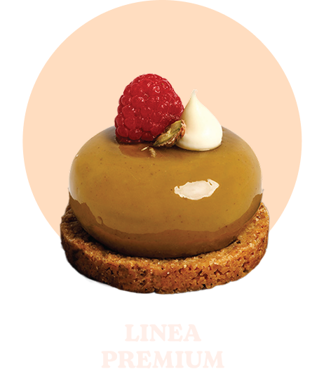 LINEA PREMIUM